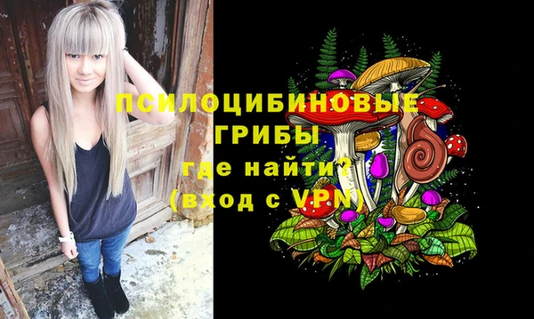 ALPHA-PVP Арсеньев