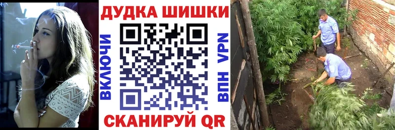 omg ССЫЛКА Лениногорск Бошки марихуана планчик